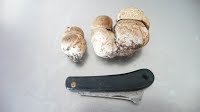 1 06 2012 Premiers ceps sous chataignier